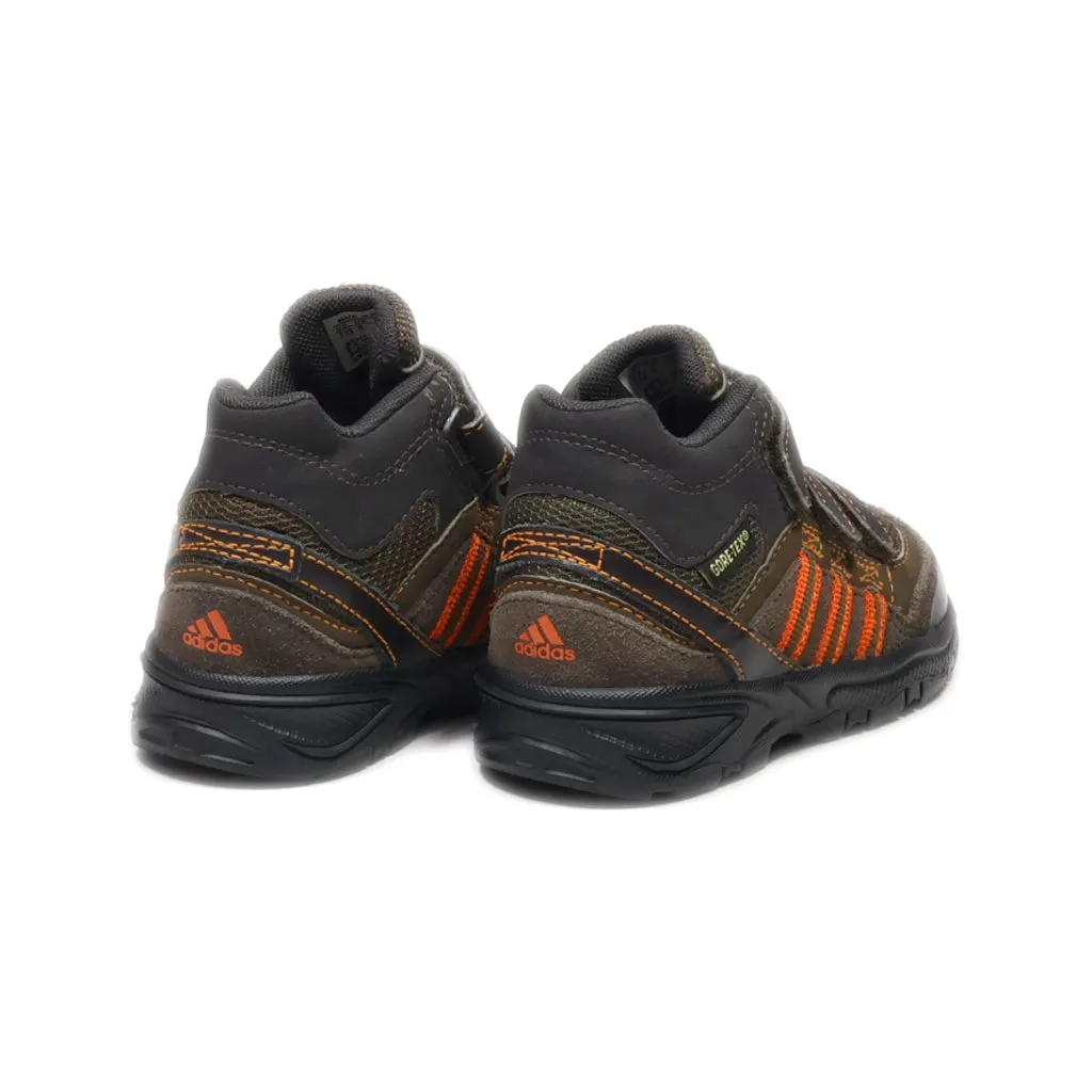 Adidas Gore-Tex Crawlers Leather Brown Colour For Kids