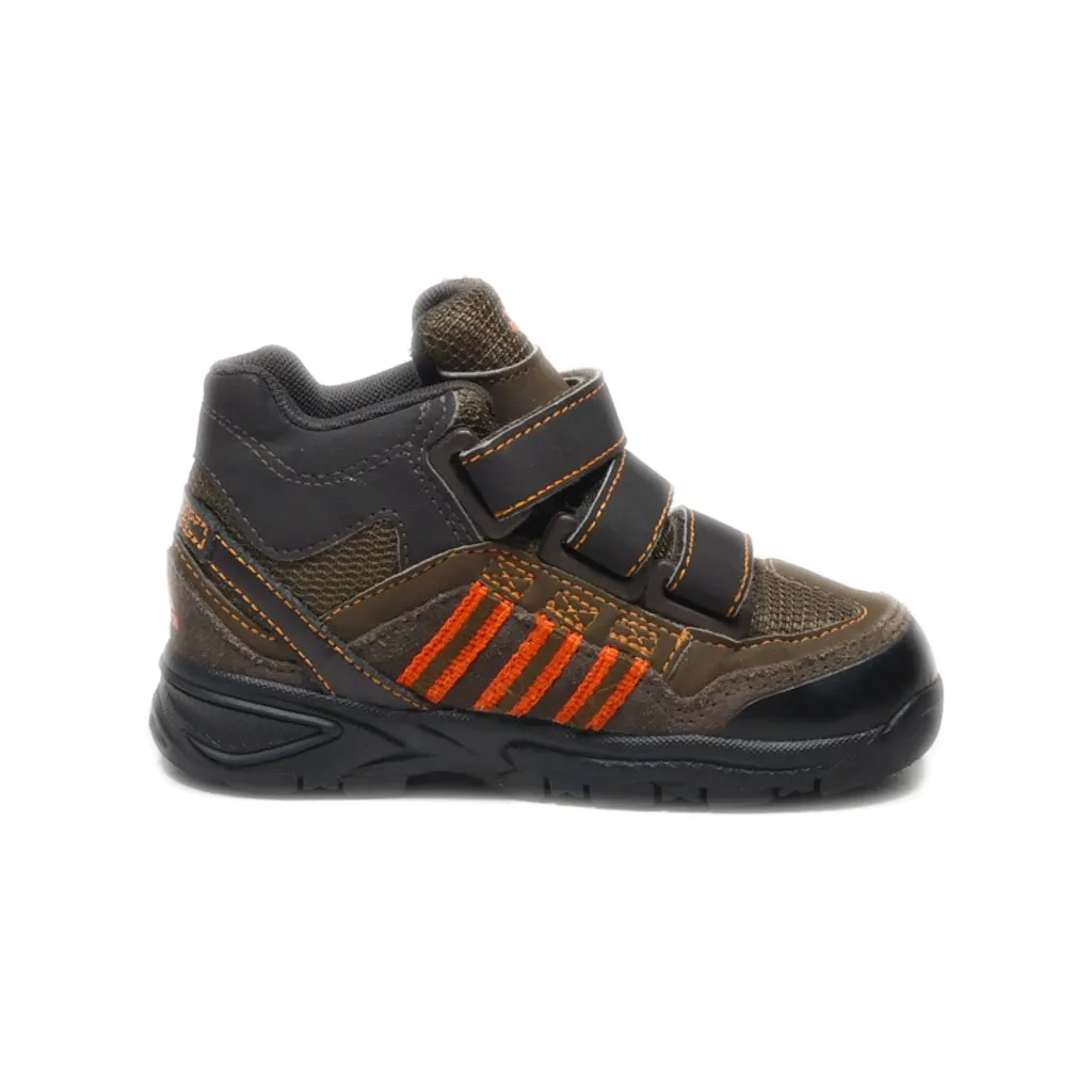 Adidas Gore-Tex Crawlers Leather Brown Colour For Kids