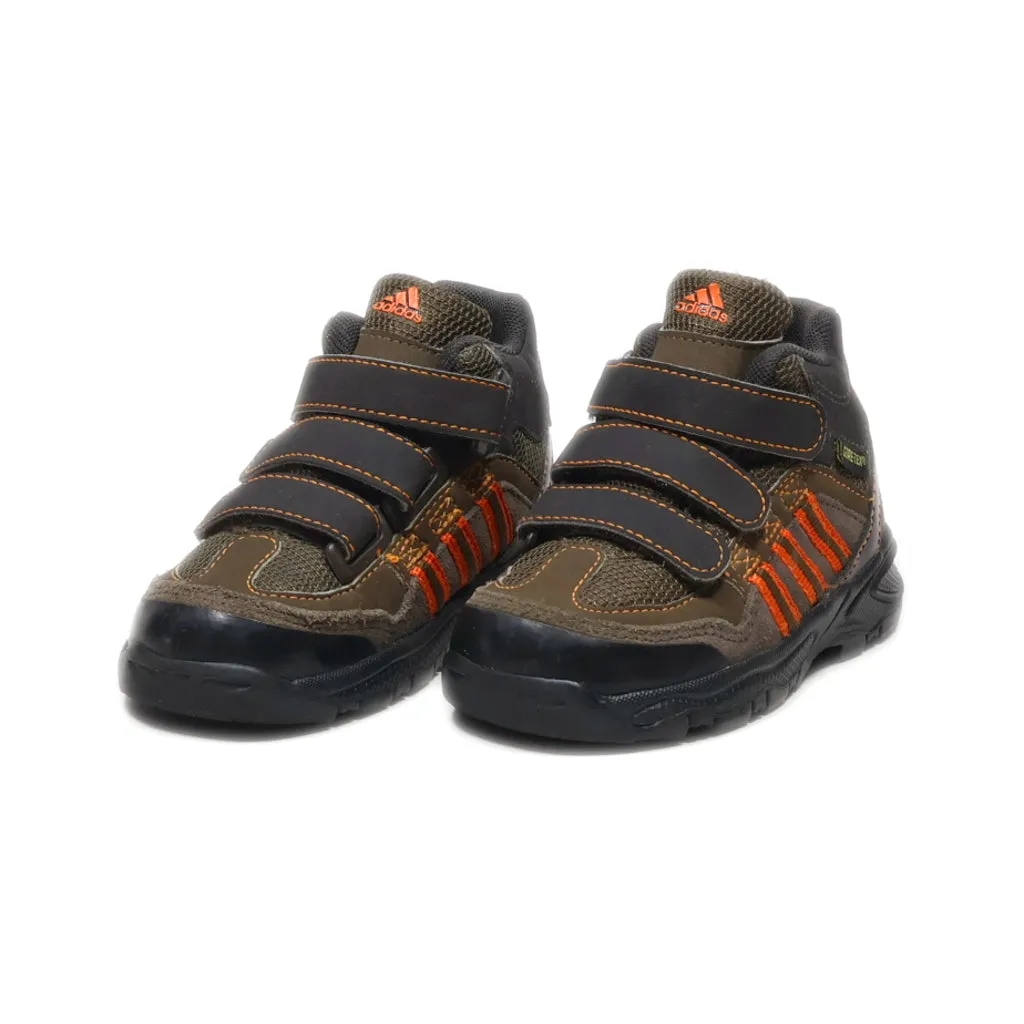 Adidas Gore-Tex Crawlers Leather Brown Colour For Kids