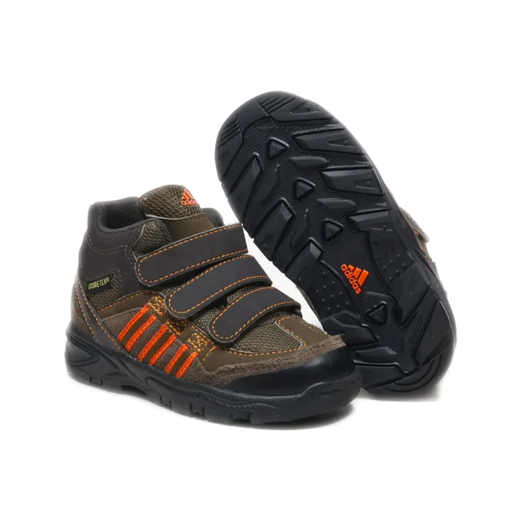 Adidas Gore-Tex Crawlers Leather Brown Colour For Kids