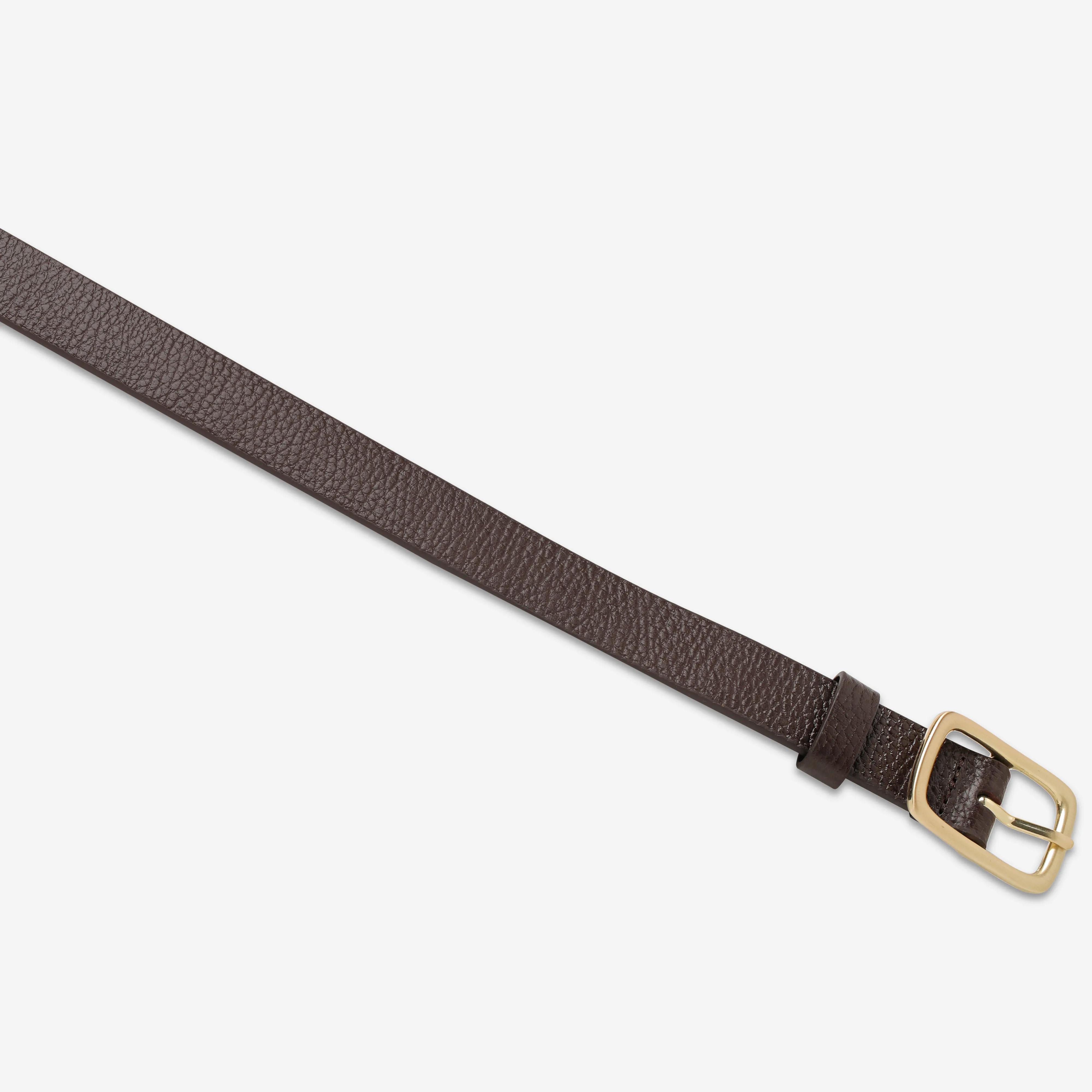 Nobody's Fault Belt - Choc/Gold