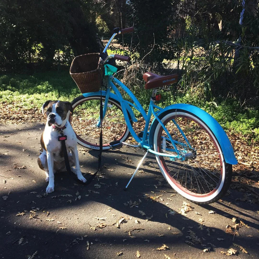 sixthreezero BE Woman 3 Speed Women's Beach Cruiser Bicycle