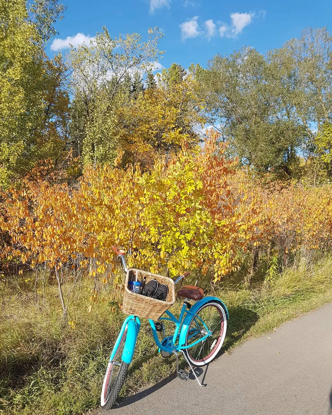 sixthreezero Scholar Woman 3 Speed 26" Beach Cruiser Bike